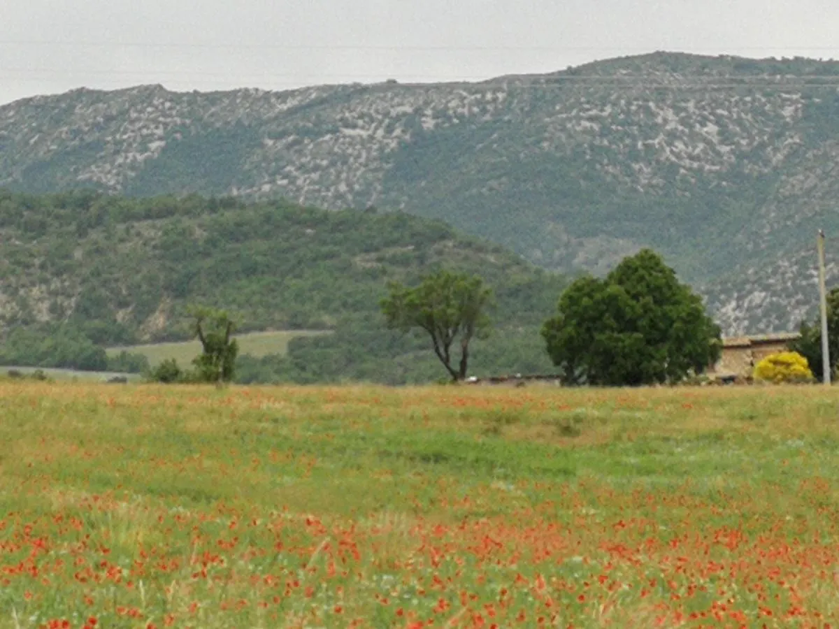 Mas En Baronnies Provencales Hotel Eygaliers  Guest house Eygaliers (Drome)